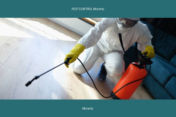 PEST CONTROL Moriarty